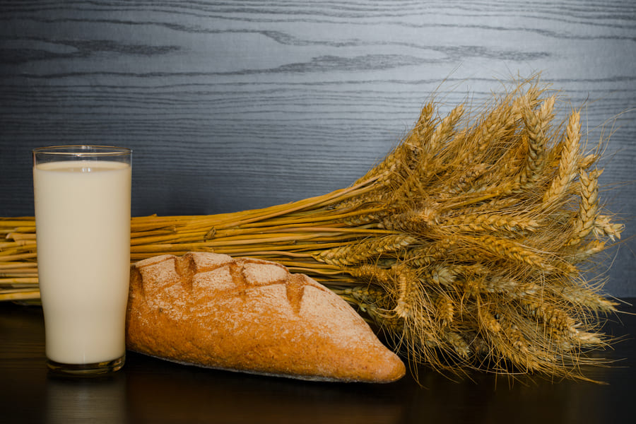 glass-milk-whole-wheat-bread-sheaf (1).jpeg