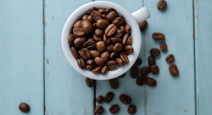 Семя кофе. Чем заменить кофе. Coffee Seed.