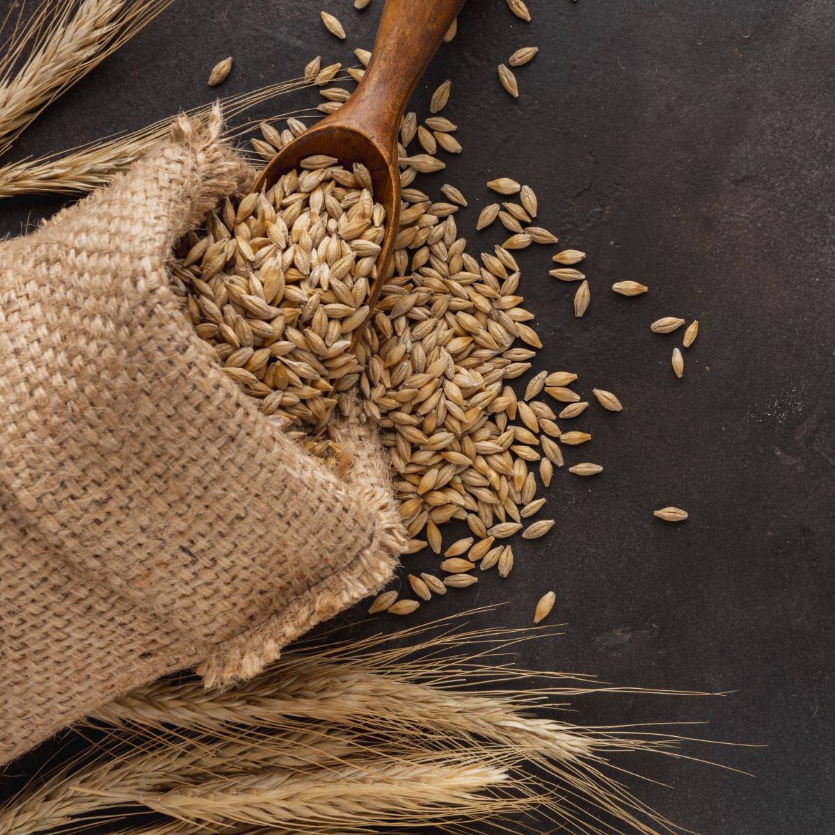 Польза пророщенной пшеницы для здоровья какие полезные свойства и преимущества