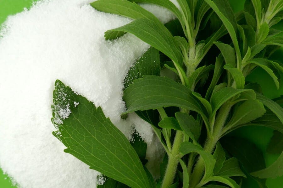 stevia-rebaudiana-stevia-herb-twigs-white-powder-natural-sweetener-powder-from-stevia-plant (1).jpeg