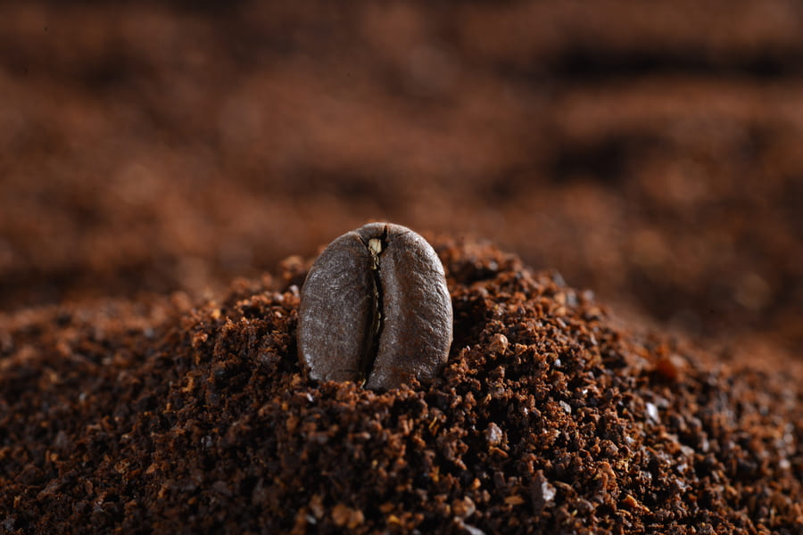 close-up-coffee-bean (1).jpeg