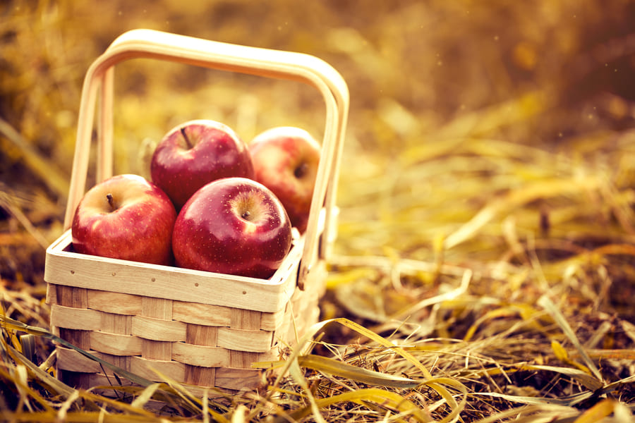 fresh-tasty-red-apples-wooden-basket-red-autumn-background (1).jpeg