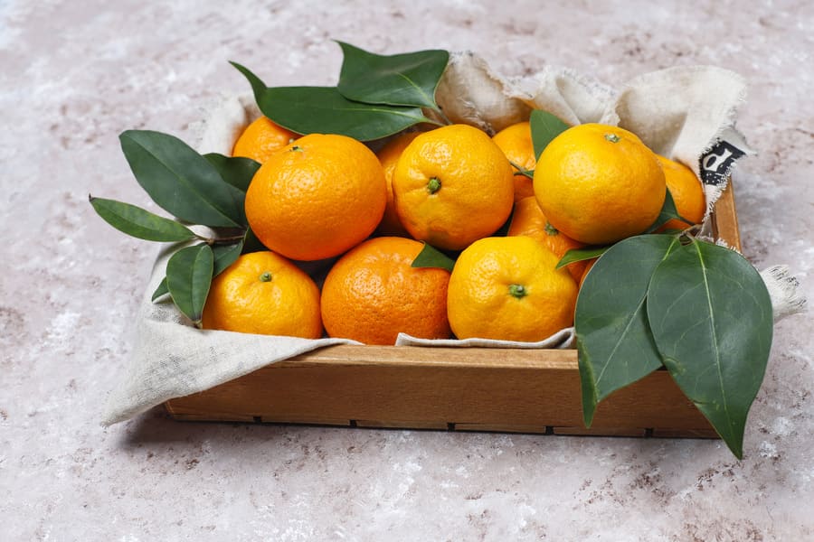 tangerines-oranges-clementines-citrus-fruits-with-green-leaves-concrete-surface-with-copy-space (1).jpeg