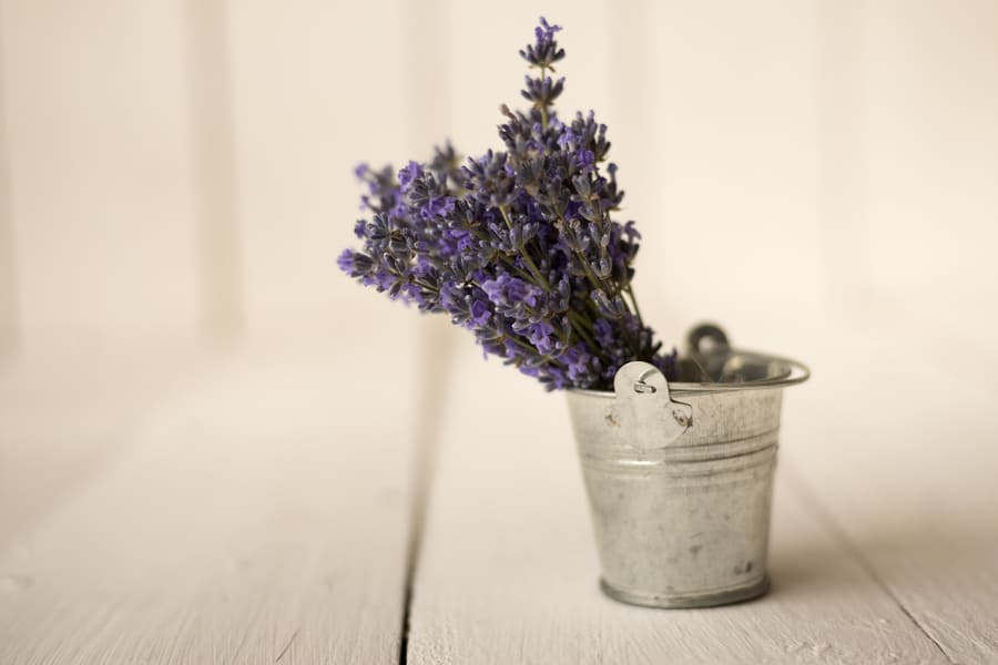 small-iron-bucket-there-is-cute-bouquet-provencal-fragrant-lavender (1).jpeg